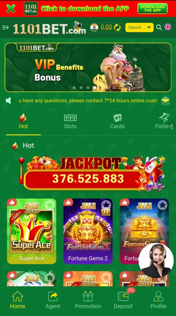 1101bet.in